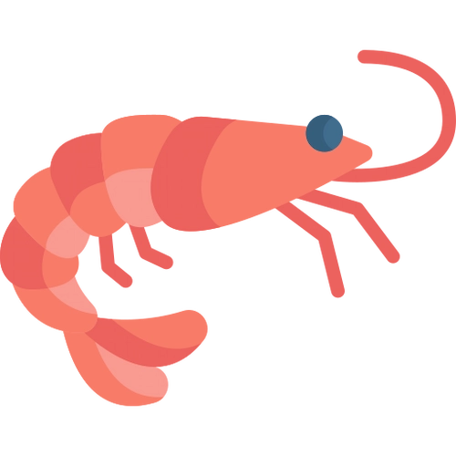 A shrimp.